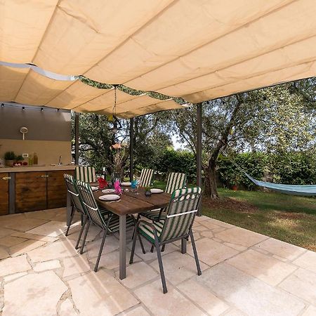 Apartments Dama بوريتش المظهر الخارجي الصورة
